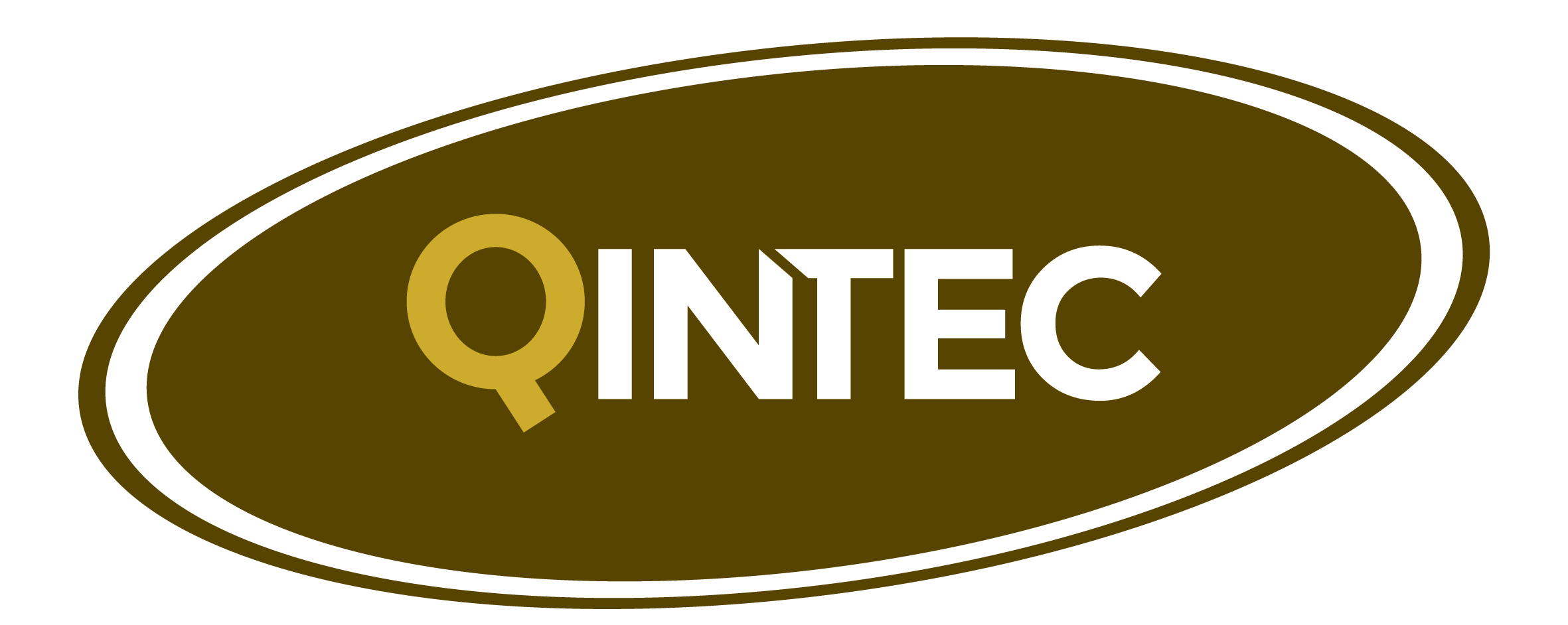 QINTEC Logo